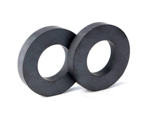 Toroidal magnet